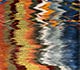 Outrageous Orange / Indigo Blue