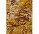 Gold Spice / Antique White