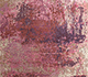 Cranberry / Indigo