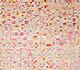 Blue Blush / Shell Coral