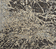 Beige / Dark Frost Gray