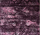 Tulip Purple / Canterbury