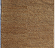Light Camel / Light Camel