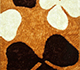 Sun Orange / Dark Chocolate