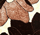 Carob Brown / Carob Brown
