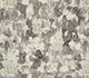 Medium Lime / Lichen