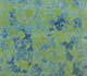 Medium Lime / Lichen