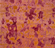 Medium Lime / Lichen
