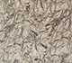 Oyster / Light Shale