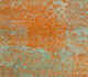Sunset / Fresh Lichen