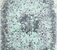 Grey Matter / Deep Graphite