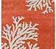 Orange Mandarin / Dark Ivory