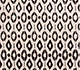 Cloud White / Deep Charcoal