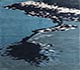 Glacier Gray / Inky Sea
