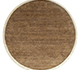 Nutmeg(Closed Color) / Nutmeg(Closed Color)
