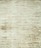 Beige / Beige